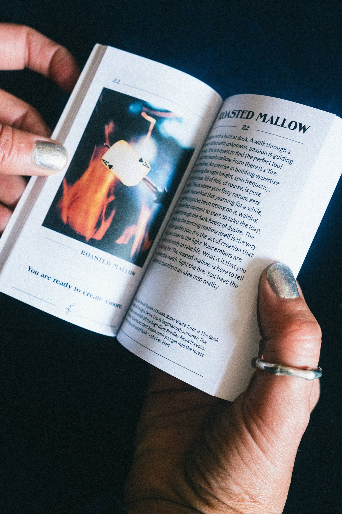 Cacio e Pepe Tarot Deck & Guidebook