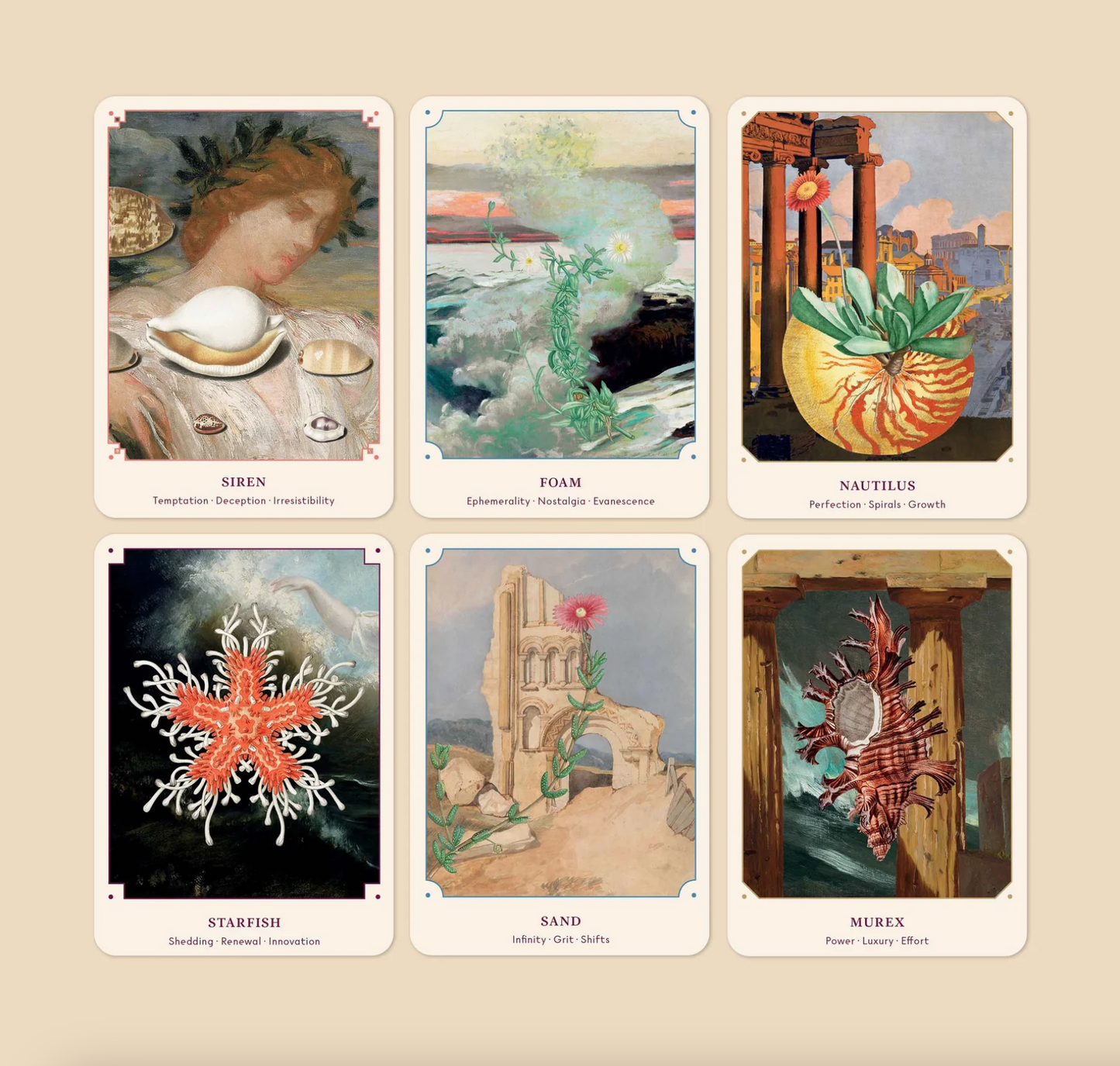 The Seashell Oracle: 44 Card Deck & Guidebook