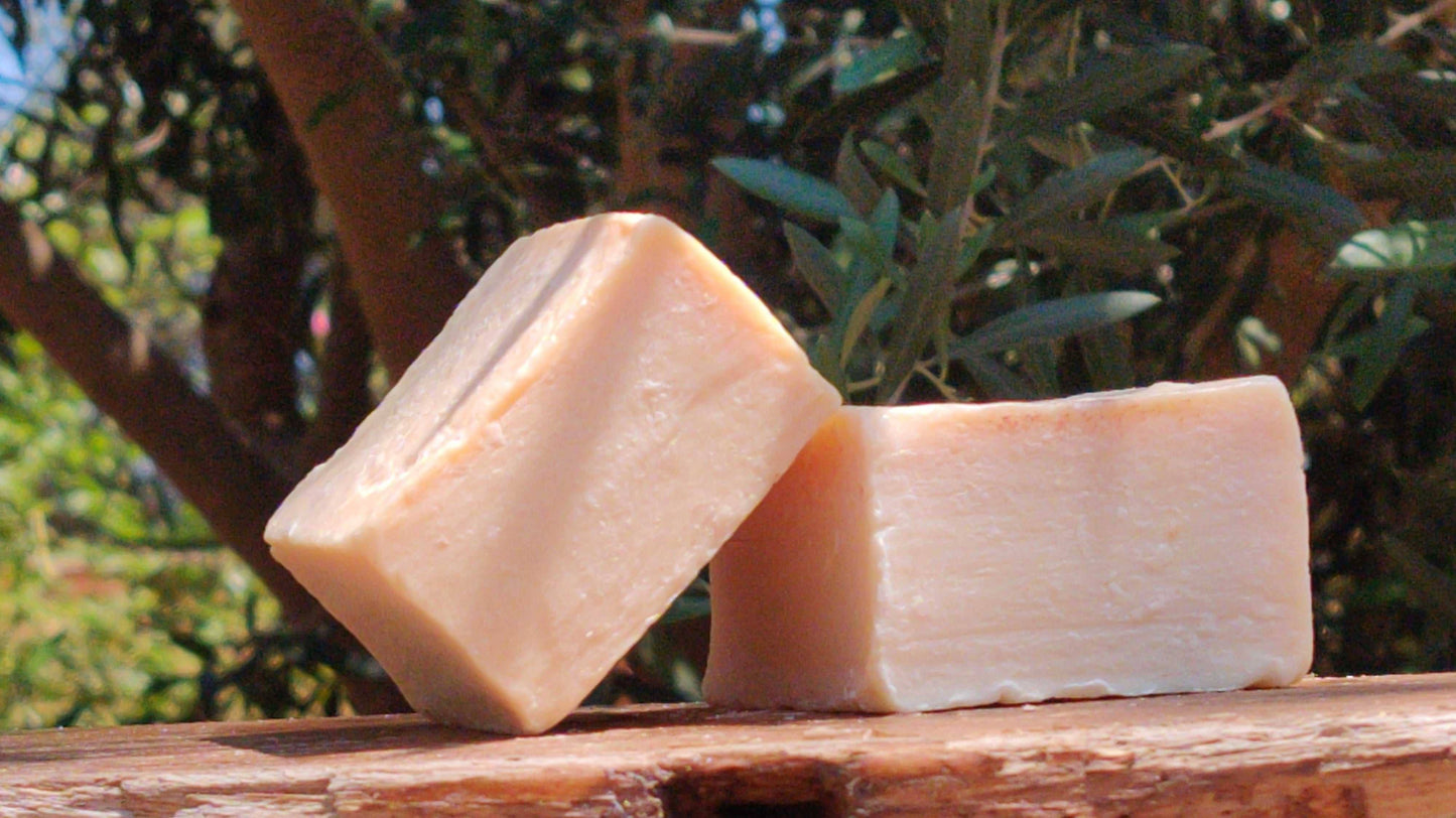 The Ostrich (al-Na'amah; النعامة): Palestinian Soap