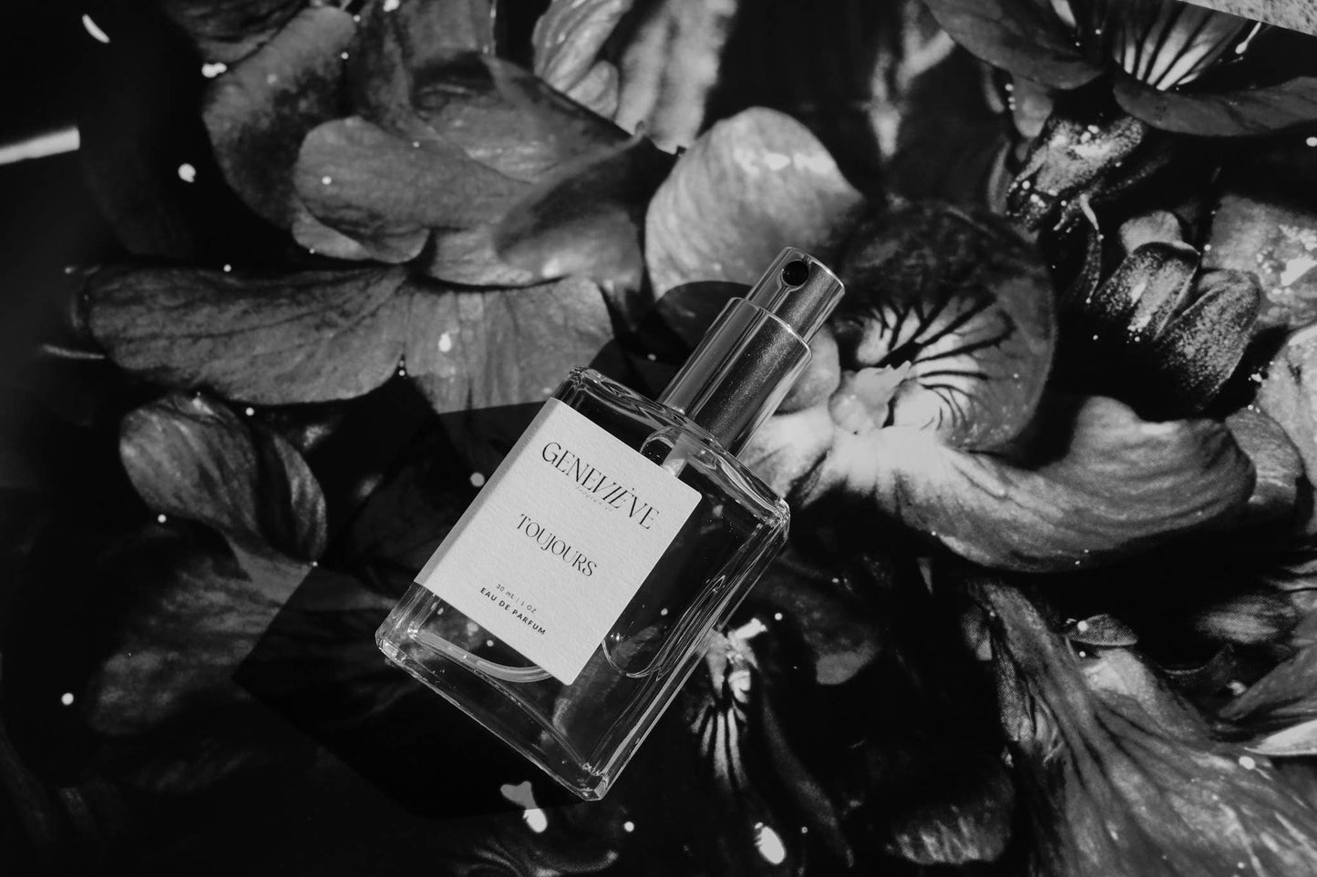 Genevieve - Toujours Eau de Parfum | Tobacco Vanilla