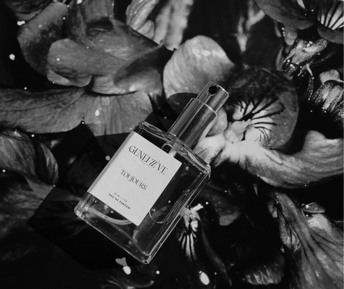 Genevieve - Toujours Eau de Parfum | Tobacco Vanilla